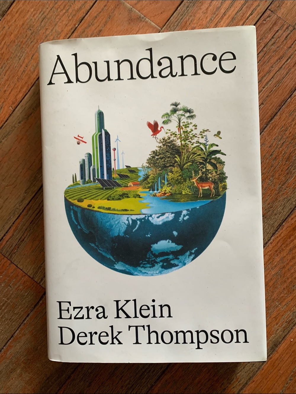 Abundance by Ezra Klein & Derek Thompson - White Cover